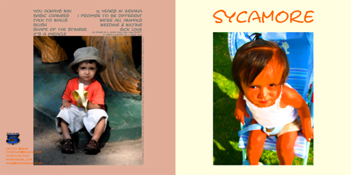 Sycamore